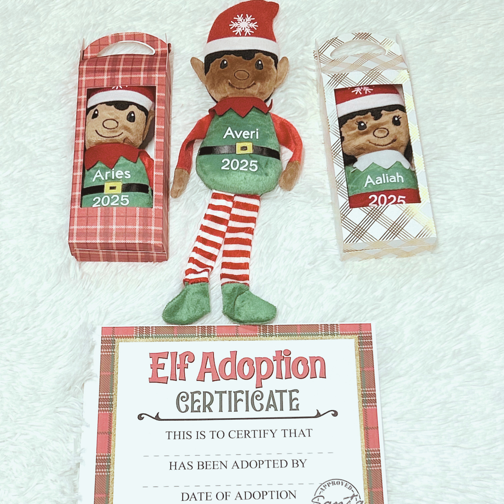 Santa Elf on the Shelf